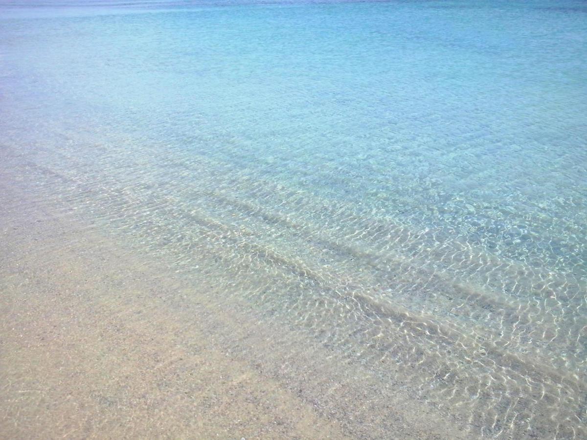 Sea Love Ольбія Екстер'єр фото